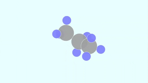 martinpalermo9223 giphyupload GIF