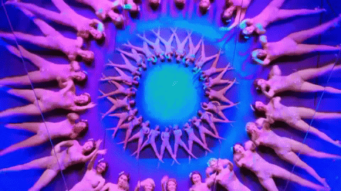 mrpoochsmooch giphyupload GIF