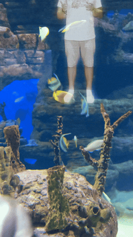 Astral Projection Meditation GIF by Astral University