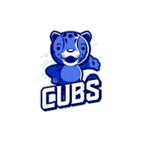 HellcatsCheer cubs hellcats cheerleaders hellcatscheerleaders hellcats cheer Sticker