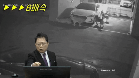 jseinyyi giphyupload GIF