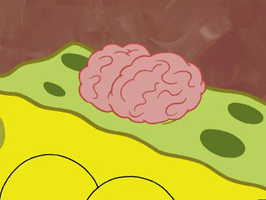 season 5 episode 6 GIF by SpongeBob SquarePants