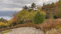 Hikers Treated to 'Gorgeous' Fall View From Summit of NY's Buck Mountain
