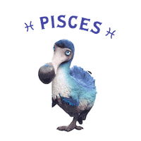 Star Sign Sticker by Dodo Australia