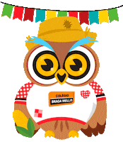 Football Soccer Sticker by Braga Mello