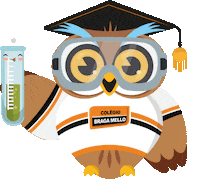 Presidente Prudente Owl Sticker by Braga Mello