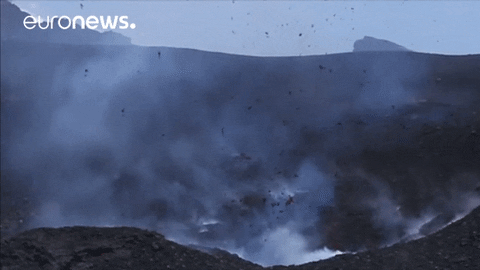 GIF by euronews