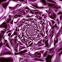 konczakowski food nature vegan cooking GIF