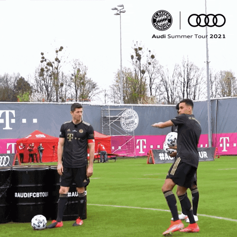 Robert Lewandowski Reaction GIF by FC Bayern Munich