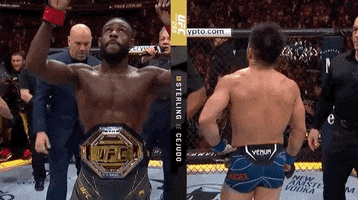 Aljamain Sterling Sport GIF by UFC