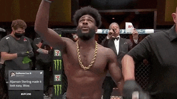 Aljamain Sterling Sport GIF by UFC