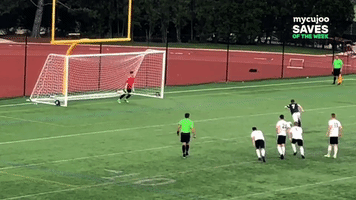 Football Goalkeeper GIF by ELEVEN SPORTS