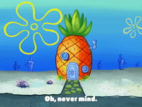 season 4 GIF by SpongeBob SquarePants