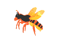 Bumble Bee Butterfly Sticker by Yle Areena