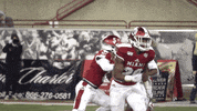 RedHawk_Recruit  GIF
