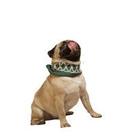 Bulve Sticker by Akvile Gudaityte IKI
