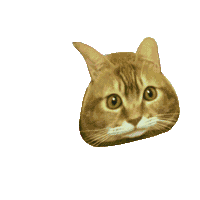 Publichild Sticker