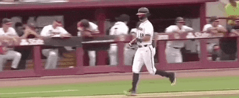 World Series Baseball GIF by NCAA Championships