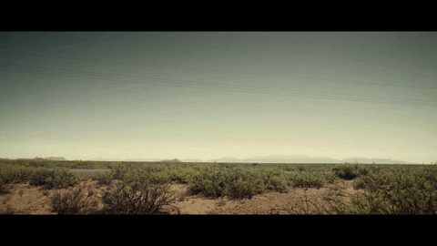 GIF by Signature Entertainment