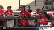 softball GIF by NCAA Championships