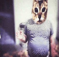 Cat Mei GIF
