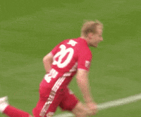 Celebrate Red Bulls GIF by Major League Soccer