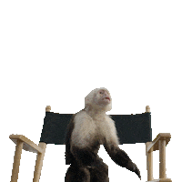 Jump Jumping Sticker by Nickelodeon