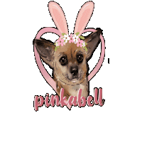 Dog Sticker by pinkabell e.U.