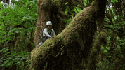 Big Lonely Doug GIF by PBS Digital Studios