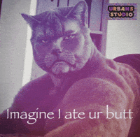 Watches Squirt GIF