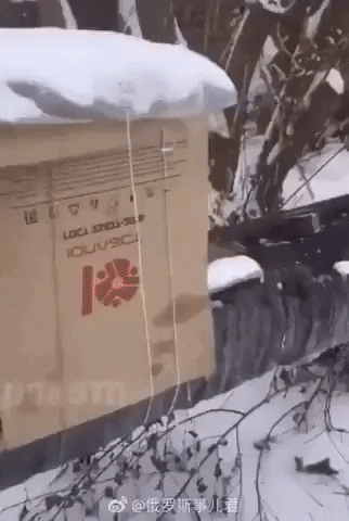 chrisfilippou giphyupload GIF