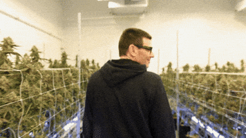 Plant Wow GIF by Exclusive Brands