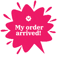 South Africa Cooking Sticker by Yuppiechef