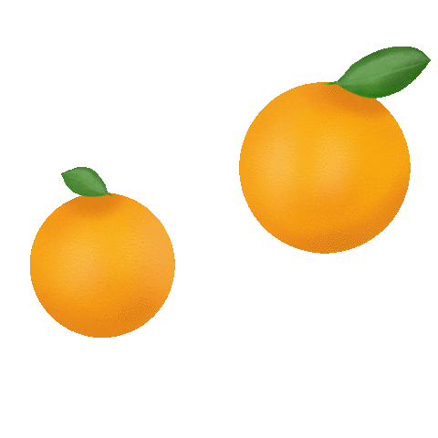 Orange Fruit Spinning Sticker