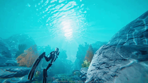 diving swimming GIF by Beyond Blue