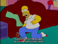 homer simpson please GIF