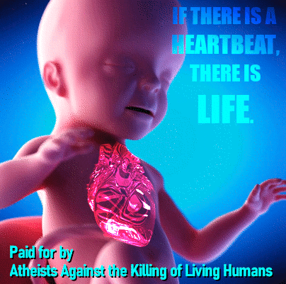 IBDaMann giphyupload GIF