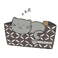 Cat If I Fits I Sits Sticker by Hide & Scratch
