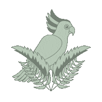 Costa Rica Bird Sticker by Caroline Wirtz