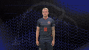 Cnms GIF by Carson-Newman Athletics