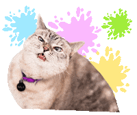 nalacat whitecoffeecat Sticker
