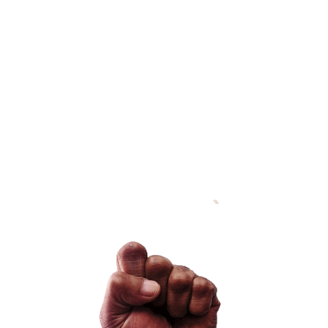 grupoclareou giphyupload amor mo pagode Sticker