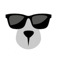 ursodeoculos ursodeoculos urso de oculos urso logo ursologo Sticker