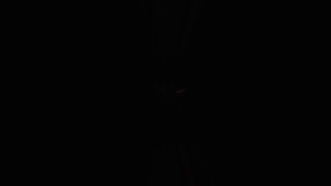 South Carolina Sec GIF by Gamecock Student Tickets