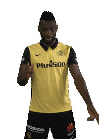 Celebration Bscyb Sticker by BSC Young Boys