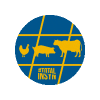 Ko Ti Sticker by Total Insyn