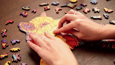 25THEBUCKETLIST giphygifmaker GIF