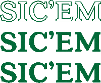 Baylor Bears College Sticker by Baylor University