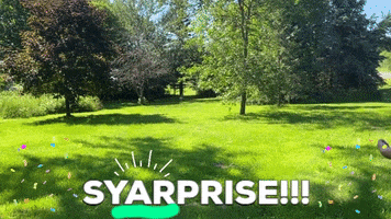 camplebanon surprise camp lebanon camplebanon syarprise GIF