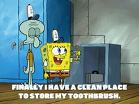 season 7 the curse of bikini bottom GIF by SpongeBob SquarePants
